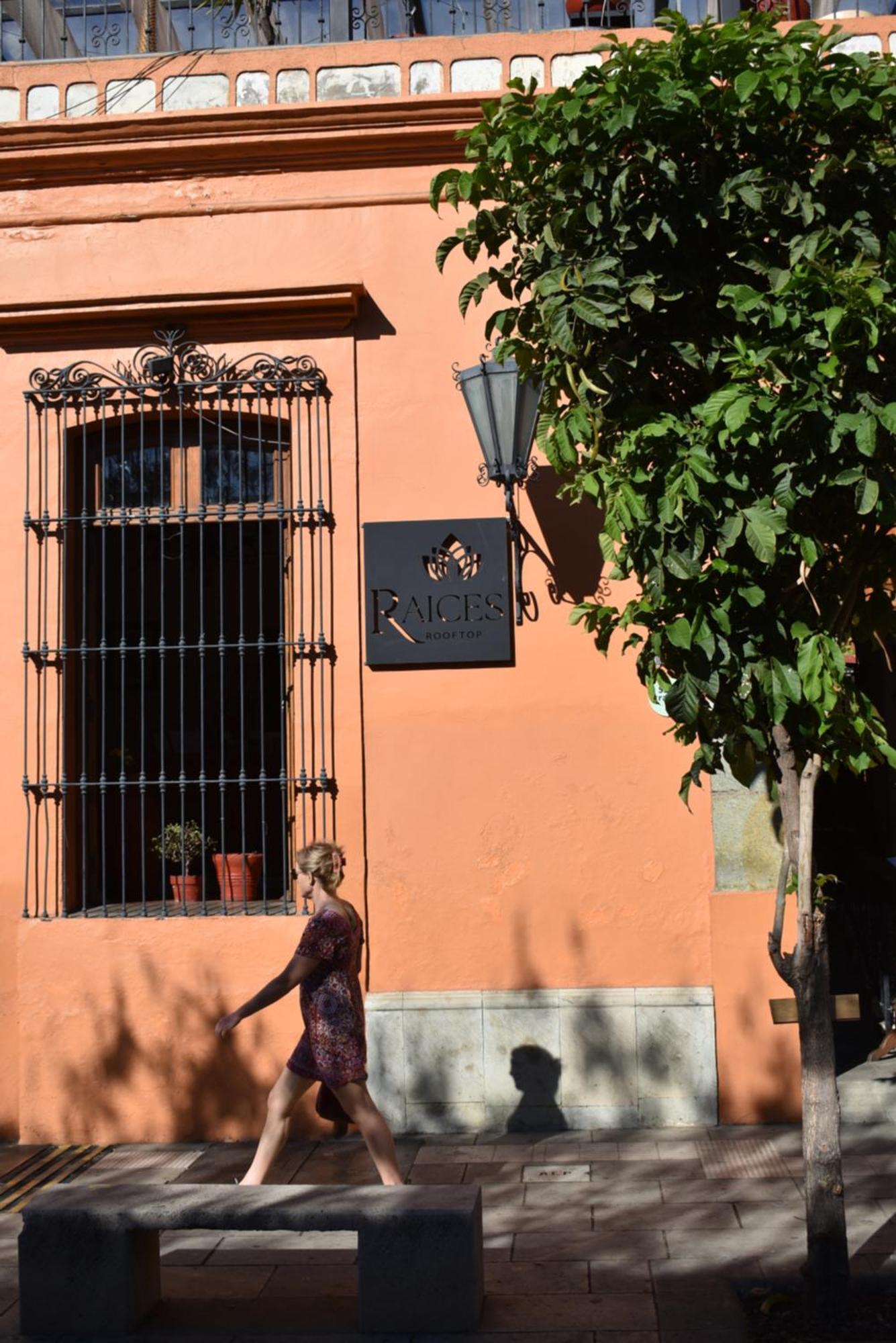 Oaxaca 帕拉多尔卡梅尔山旅馆酒店 外观 照片